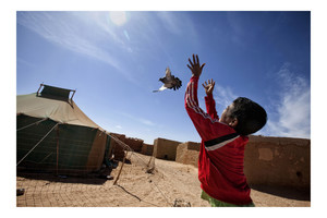 Landscape 013 saharawi